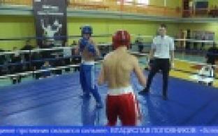 В Первоуральске состоялось открытое региональное первенство по кикбоксингу