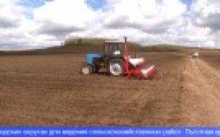 Более тысячи гектаров сельхозземель уральцы взяли в аренду за 1 рубль