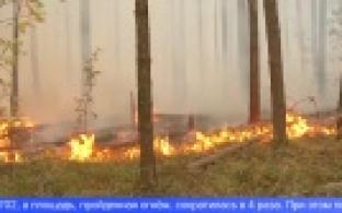 Свердловская область признана одной из лучших в стране по борьбе с лесными пожарами