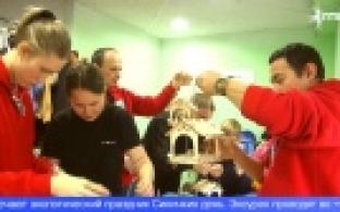 Для первоуральцев провели мастер-класс по сборке птичьих кормушек