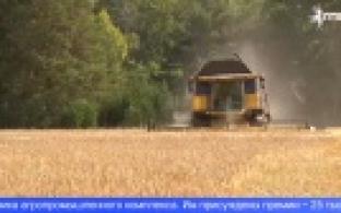 Уральские аграрии получат премии от губернатора