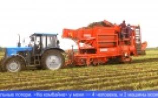 В Первоуральске полным ходом идёт уборка урожая