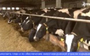 В Свердловской области завершается уборочная кампания: план перевыполнен