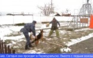 В Первоуральске прошли учения ФСИН