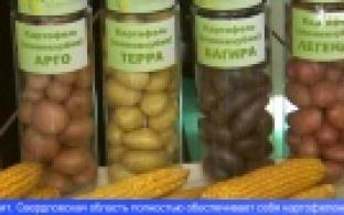 В Екатеринбурге открылась выставка «Агропром Урал»