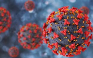 Рост числа заболевших COVID-19 замедлился