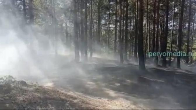 В Первоуральске горит лес