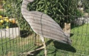 Смотрите, кто пожаловал сегодня на проспект Космонавтов