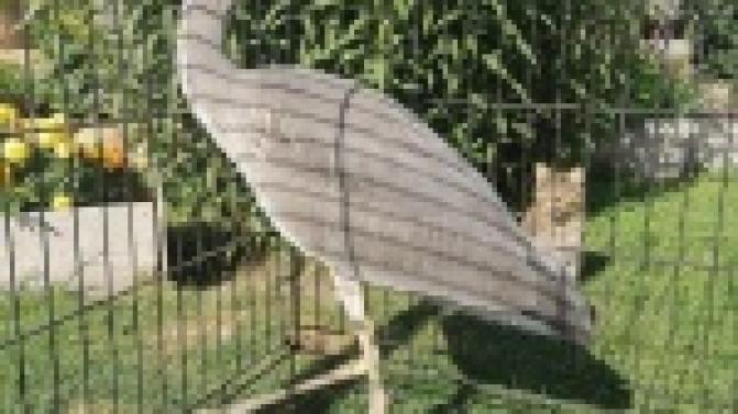 Смотрите, кто пожаловал сегодня на проспект Космонавтов