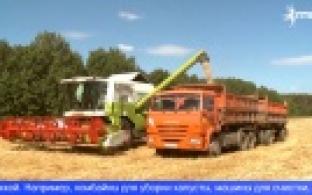 В регионе стартовала уборочная кампания