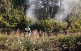 Под Первоуральском предотвратили лесной пожар