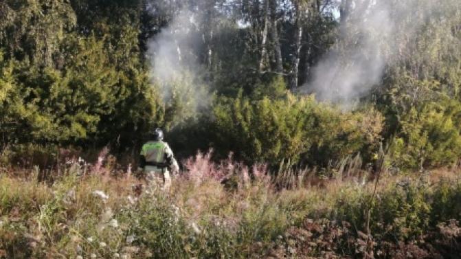 Под Первоуральском предотвратили лесной пожар