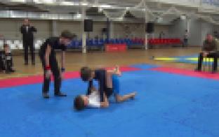 Турнир по единоборствам