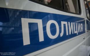 Полмиллиона рублей украли у жительницы Первоуральска, которая решила купить мёд