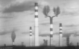 Выставка под названием "Моое" откроется в Первоуральске