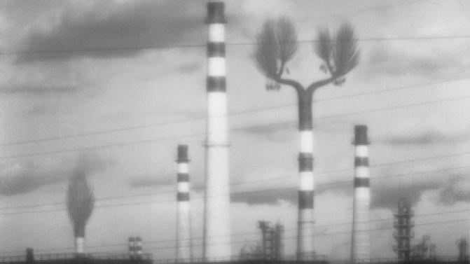 Выставка под названием "Моое" откроется в Первоуральске