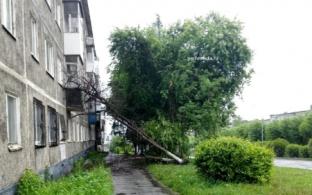 Коммунальные службы переведены на усиленный режим работы