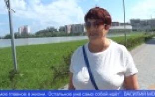 Первоуральцы поделились, в чем секрет долгой и счастливой семейной жизни