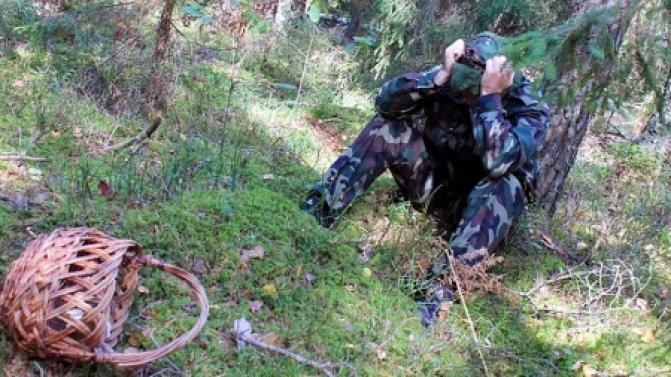 Как не потеряться в лесу: рекомендации МЧС России