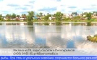 Нарушители правил рыбалки получили штрафы