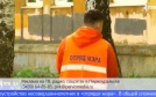 В Первоуральске наградили работодателей, которые трудоустраивают подростков