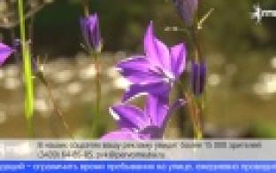 В Роспотребнадзоре дали рекомендации, как пережить сезонную аллергию