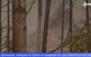 Урал прошёл весенний пик так называемого лесопожарного сезона