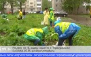 Аллея из лип и рябин сегодня появилась в микрорайоне Хромпик