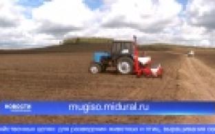 Уральцы могут арендовать сельхоз участок за один рубль