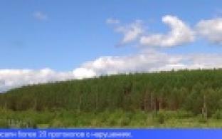 В Свердловской области отменён особый противопожарный режим