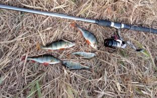 В Первоуральске проведут соревнования по ловле рыбы