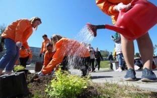 В Первоуральске пройдёт экологическая акция "НаВырост"