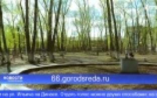 Участие в голосовании приняли уже почти 13 тысяч горожан