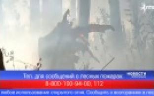 На заседании областного правительства обсудили лесные пожары