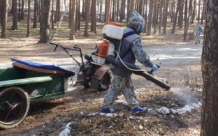 В Парке новой культуры идёт обработка территории от клещей