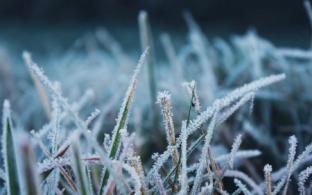 В Свердловской области ожидаются ночные заморозки
