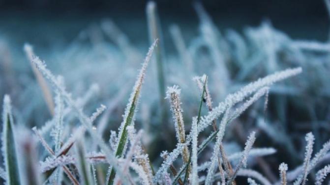 В Свердловской области ожидаются ночные заморозки