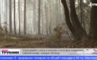 В Свердловской области с 30 апреля вводится особый противопожарный режим