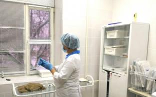 О вакцинации от коронавируса в выходные дни и праздники