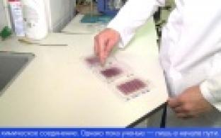 Уральские ученые создают препараты для диагностики и лечения рака