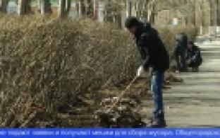 Как проходят субботники в Первоуральске