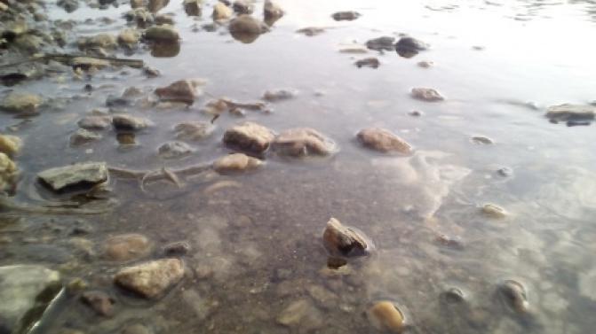 Первоуральские спасатели искали пропавших туристов