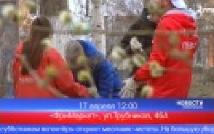 Активисты «Города Первых» проведут субботник возле «ФриМаркета»