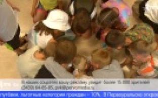 В Первоуральске стартует приём заявлений на детский отдых