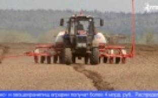 В Свердловской области увеличат площади посевов кормовых культур и овощей