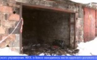 Груду костей обнаружили в одном из заброшенных гаражных боксов