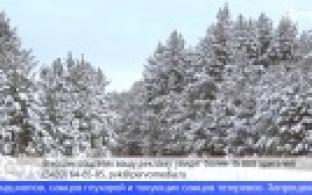 В Свердловской области началась выдача разрешений на охоту