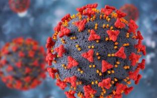 На Среднем Урале ужесточили эпидрежим в связи с ростом выявляемых случаев заболевания COVID-19