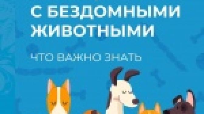 Памятка об обращении с бездомными животными