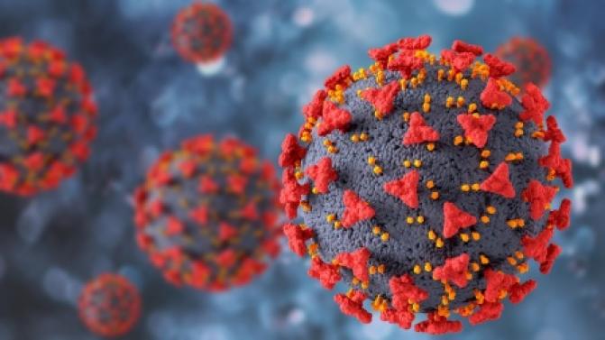 Статистика по заболеваемости коронавирусом в Первоуральске